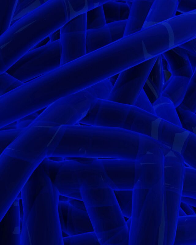 Обои 2025-09-12 №69560