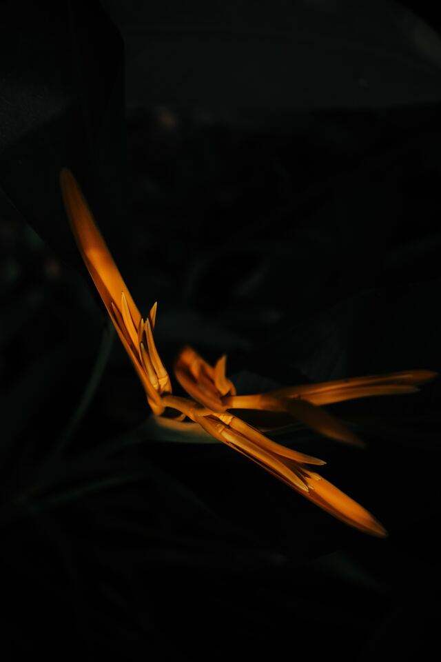 Обои 2025-09-12 №69599