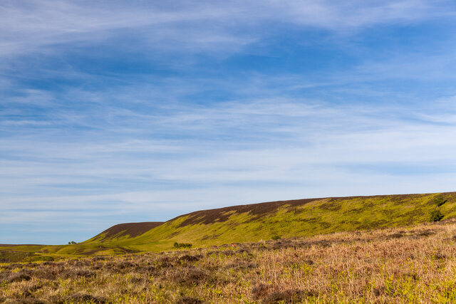 Обои 2025-09-12 №69602