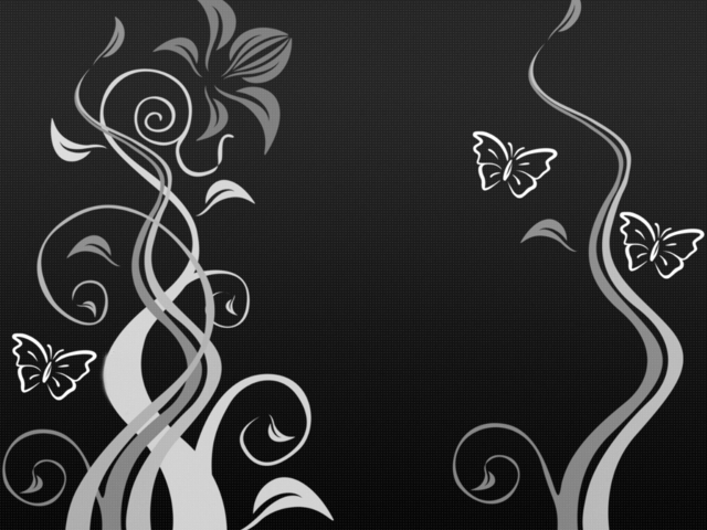 Обои 2025-09-13 №69650