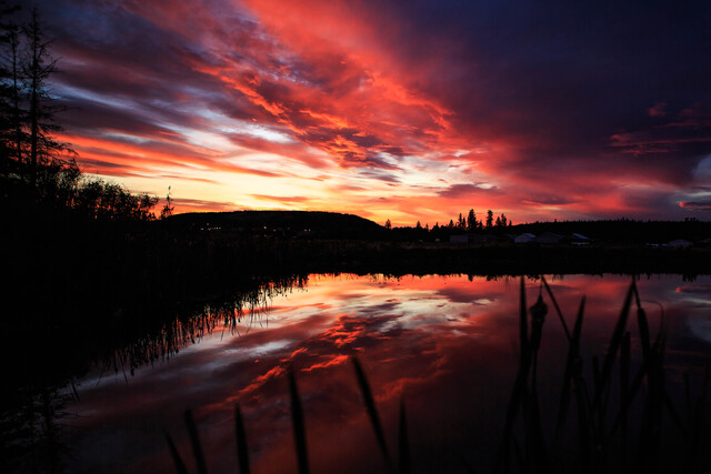 Обои 2025-09-13 №69673