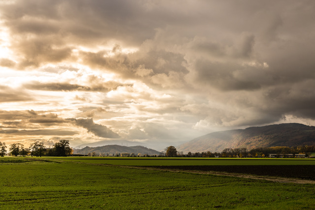 Обои 2025-09-13 №69721