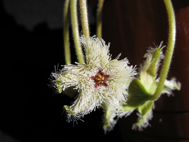 Обои 2025-09-14 №69759