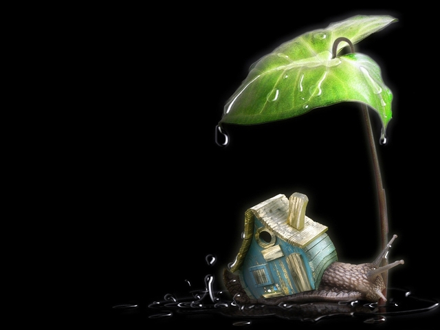 Обои 2025-09-14 №69758