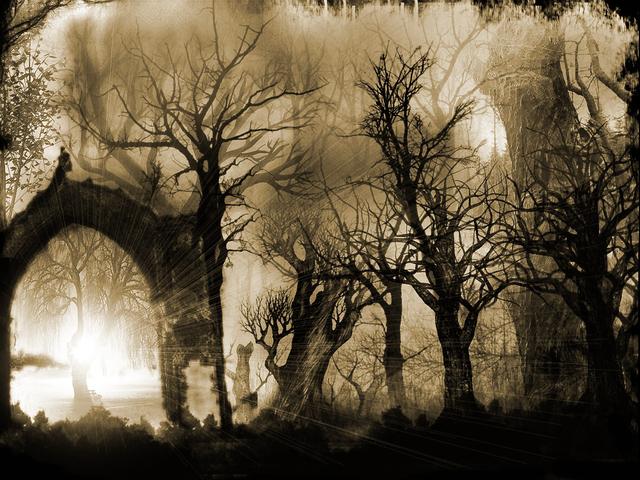 Обои 2025-09-14 №69772