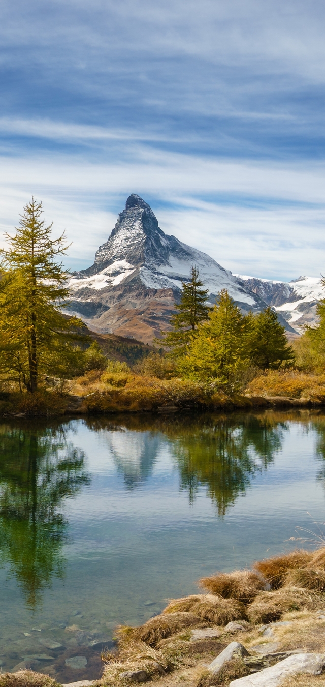 Обои 2025-09-15 №69867