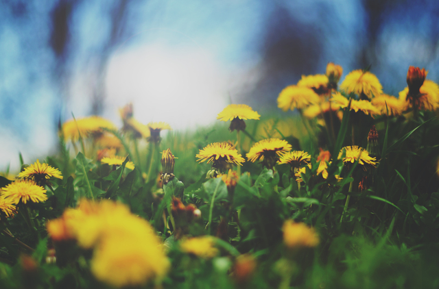 Обои 2025-09-16 №69924