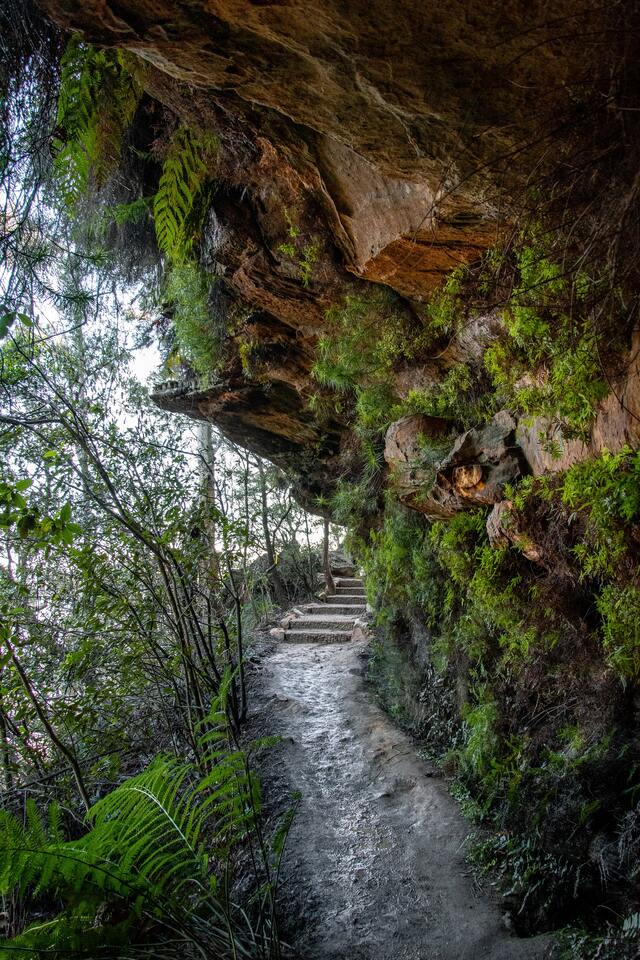 Обои 2025-09-16 №69955