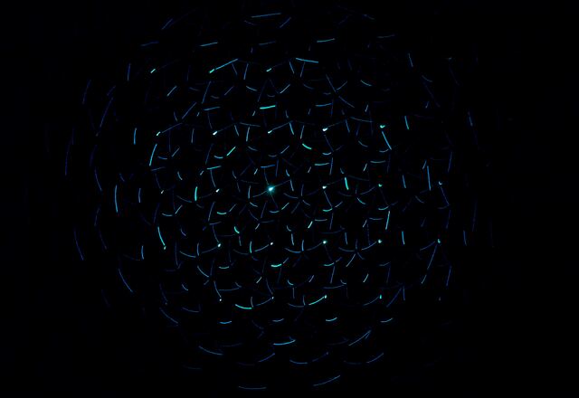 Обои 2025-09-16 №69986