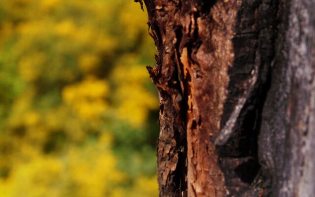 Обои 2025-09-17 №69996