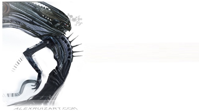 Обои 2025-09-17 №70023