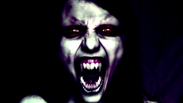 Обои 2025-09-17 №70022