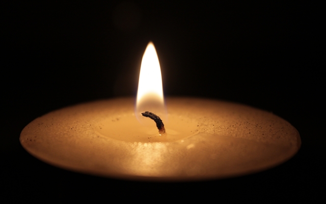 Обои 2025-09-17 №70016