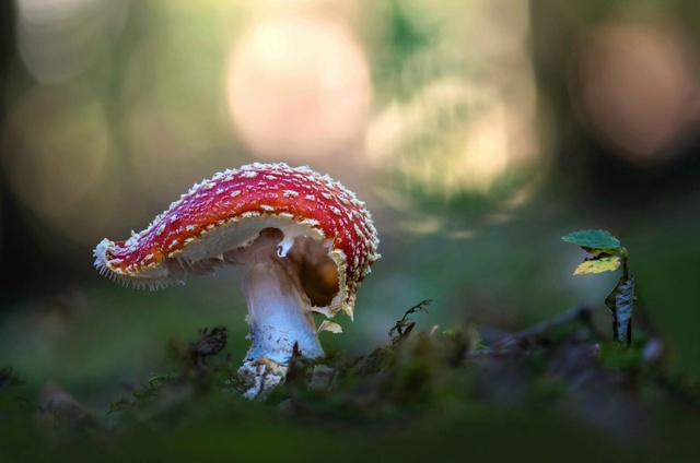 Обои 2025-09-17 №70024