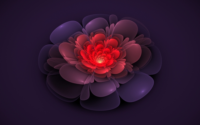 Обои 2025-09-17 №70039