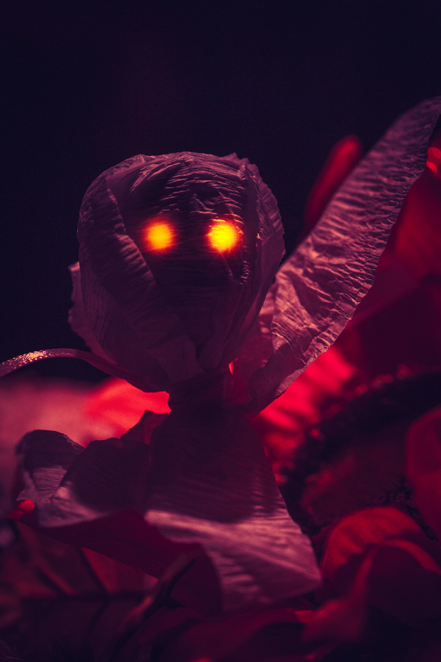 Обои 2025-09-18 №70086