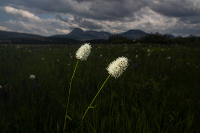 Обои 2025-09-18 №70127