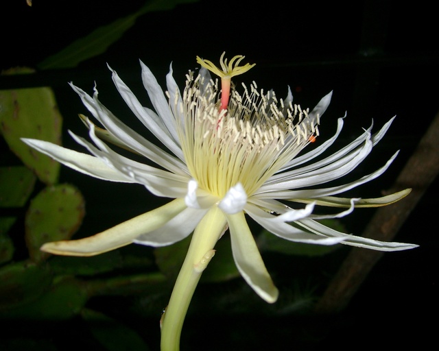 Обои 2025-09-18 №70153