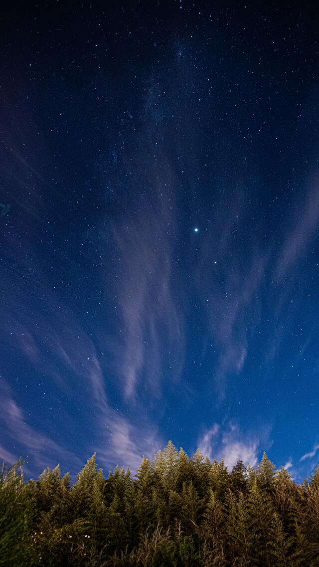 Обои 2025-09-19 №70163