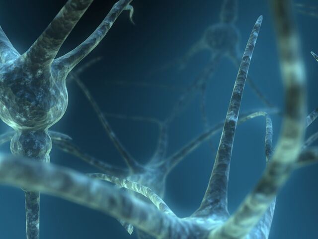 Обои 2025-09-19 №70173