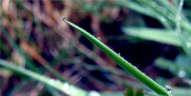 Обои 2025-09-19 №70174