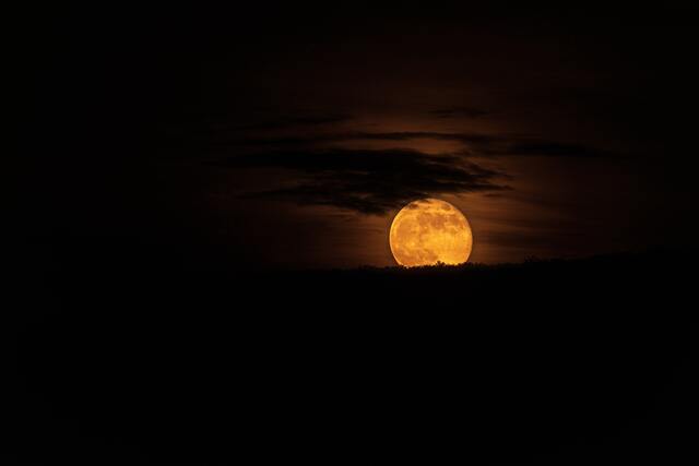 Обои 2025-09-19 №70187