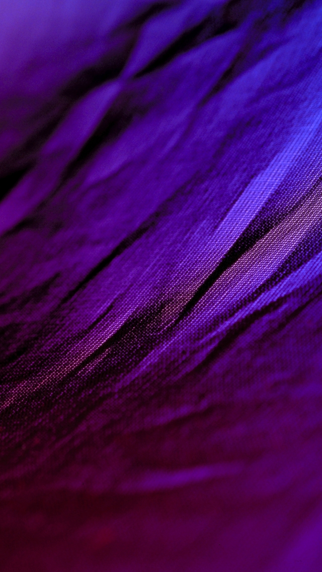 Обои 2025-09-19 №70210