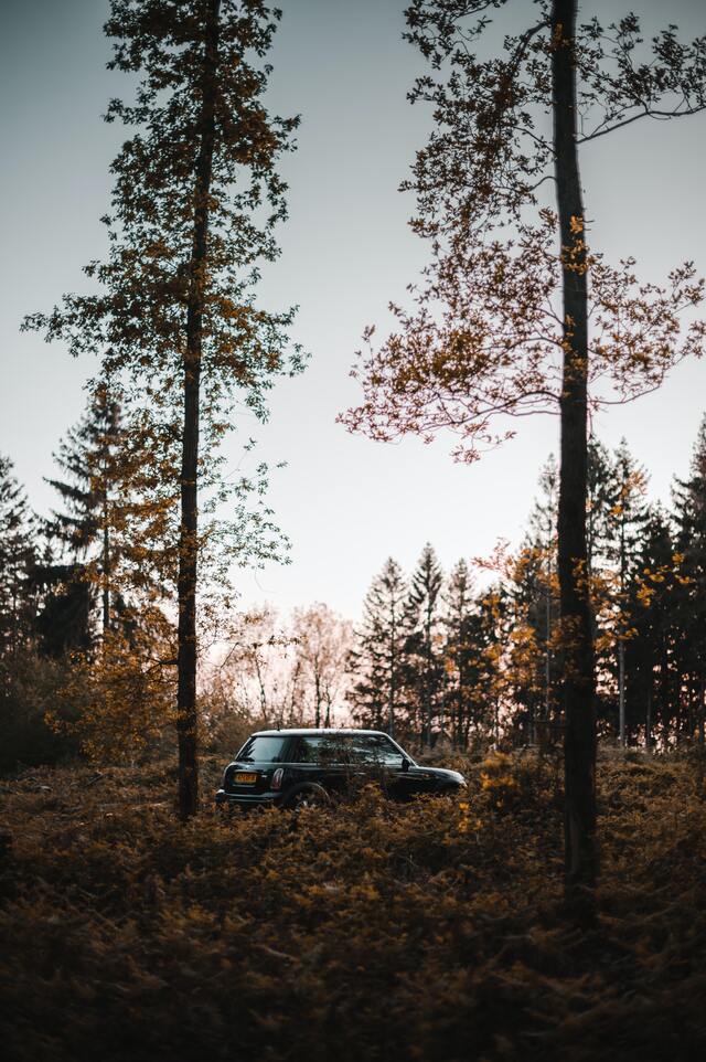 Обои 2025-09-19 №70212