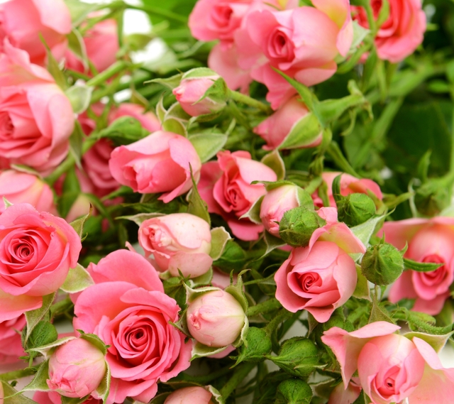 Обои 2025-09-20 №70242