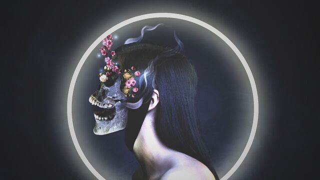 Обои 2025-09-20 №70250