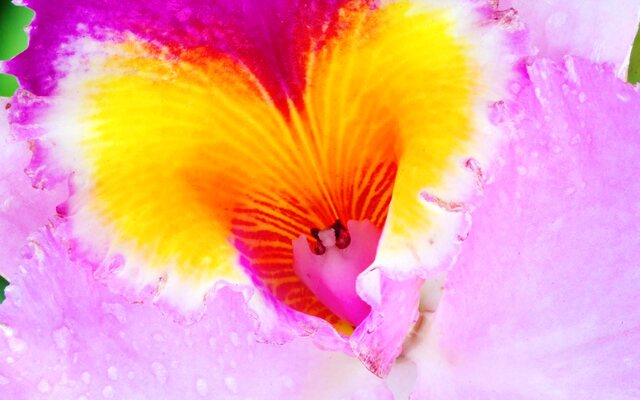 Обои 2025-09-20 №70283