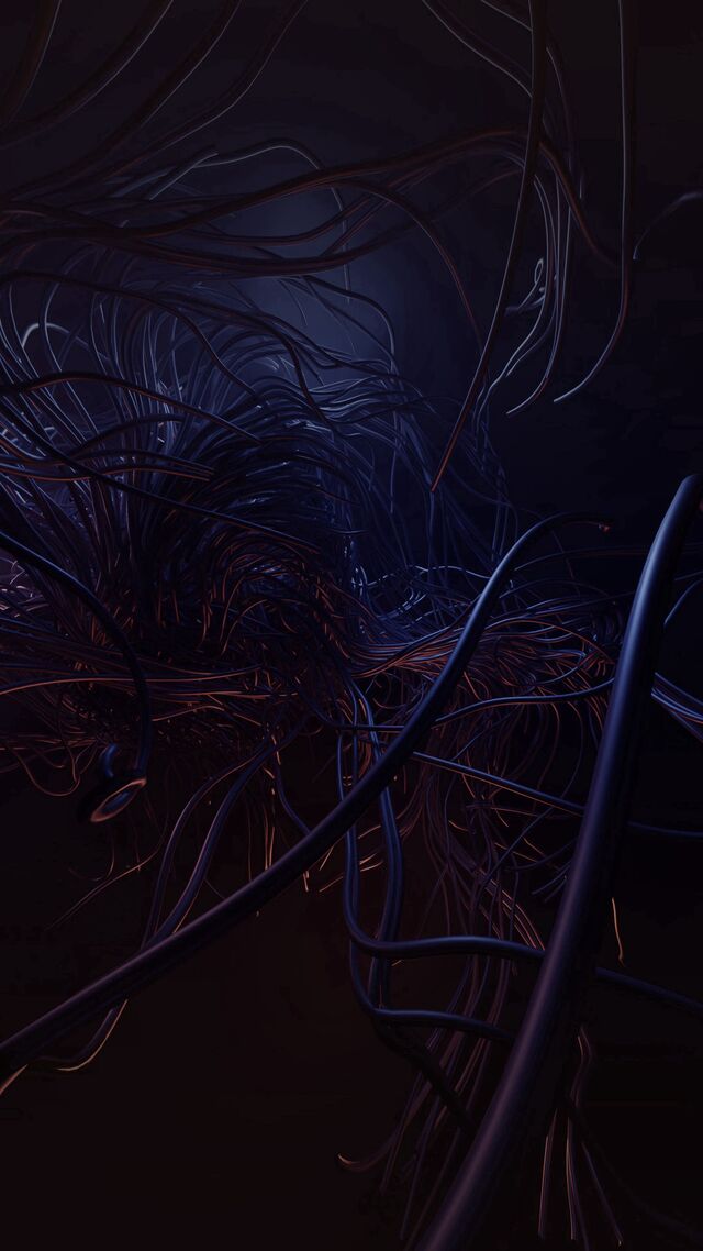 Обои 2025-09-20 №70318