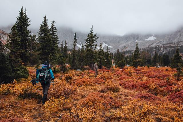 Обои 2025-09-20 №70314