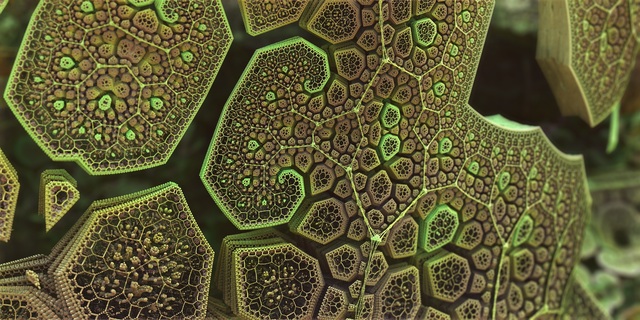 Обои 2025-09-21 №70337