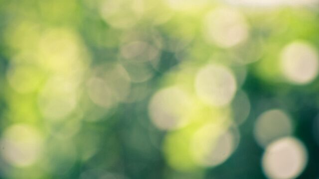 Обои 2025-09-21 №70335