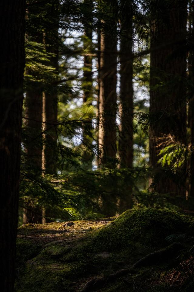 Обои 2025-09-21 №70328