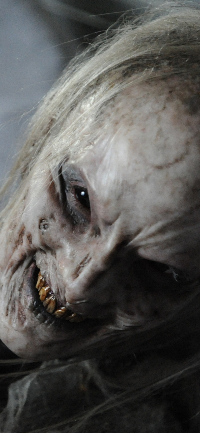 Обои 2025-09-21 №70410