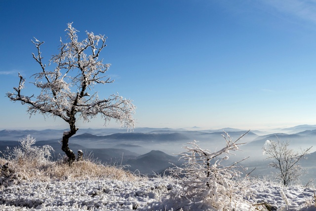 Обои 2025-09-22 №70441