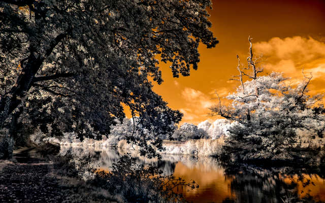 Обои 2025-09-22 №70454