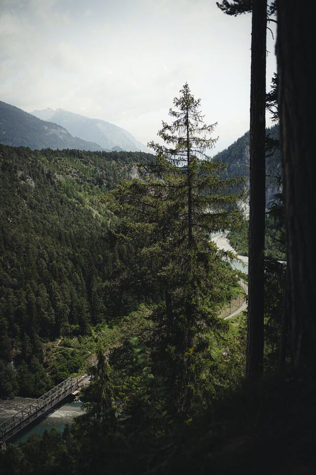 Обои 2025-09-22 №70505