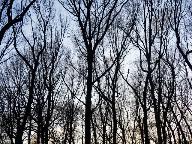 Обои 2025-09-22 №70502