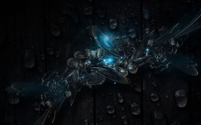 Обои 2025-09-23 №70526