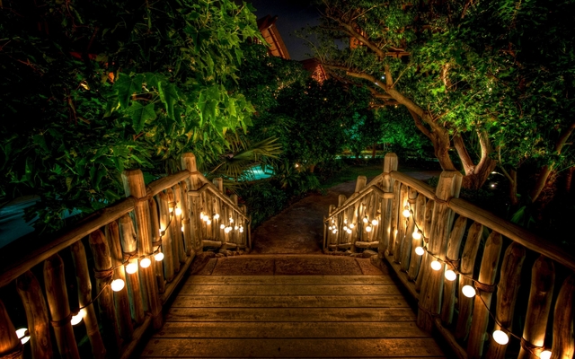 Обои 2025-09-23 №70550