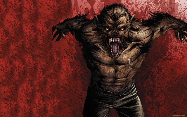 Обои 2025-09-23 №70572