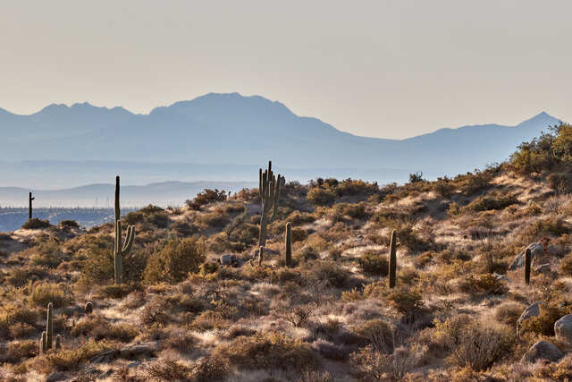 Обои 2025-09-24 №70591