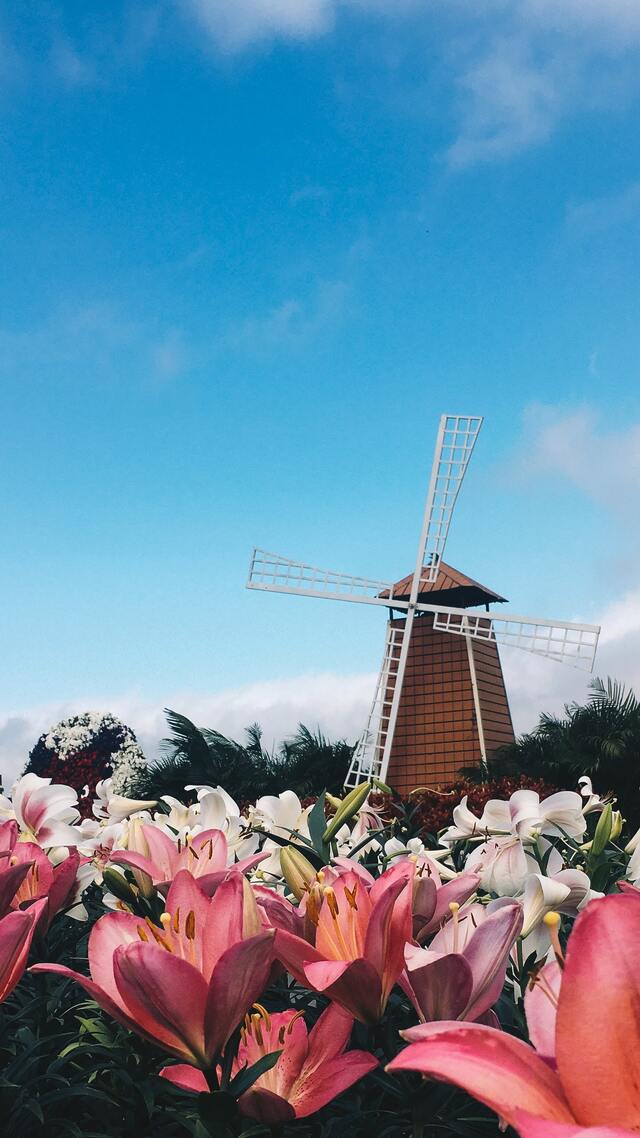 Обои 2025-09-24 №70589