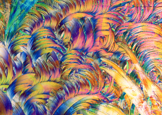 Обои 2025-09-24 №70625