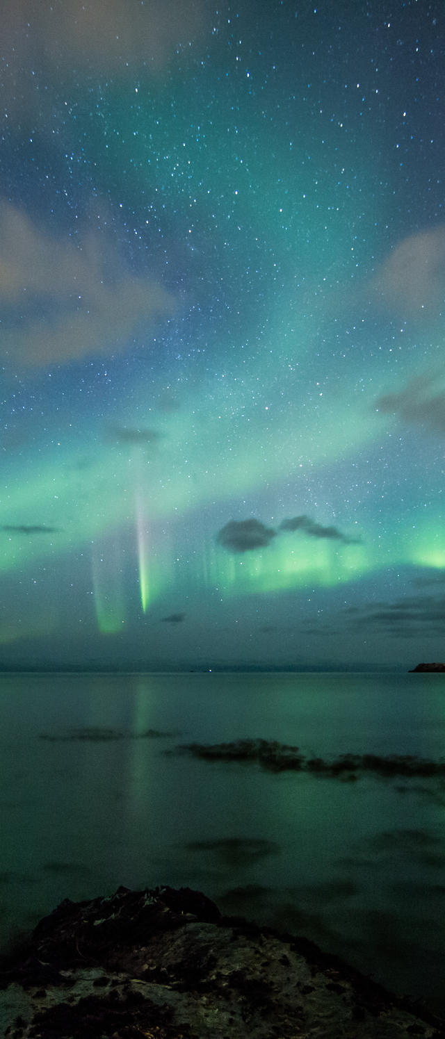 Обои 2025-09-24 №70621