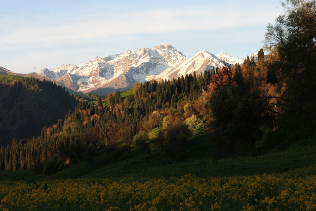 Обои 2025-09-26 №70846