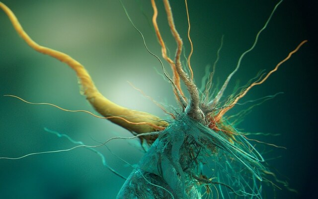 Обои 2025-09-27 №70895